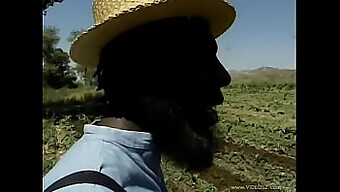 Amish Couple'S Romantic Encounter In The Fields