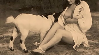 Outdoor Adventure With A Hairy Pussy And A K9 Companion In A Taboo Video.